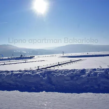 Bakarloko Lipno Apartments Lipno nad Vltavou Exterior photo