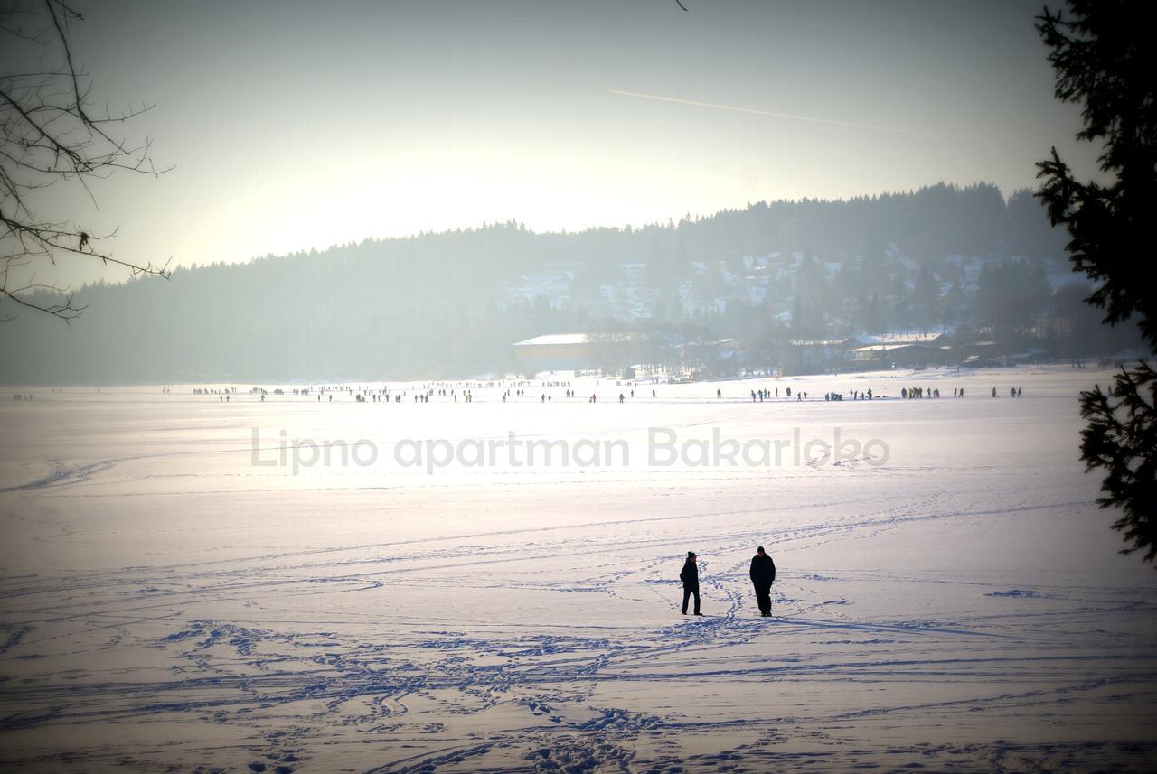 Bakarloko Lipno